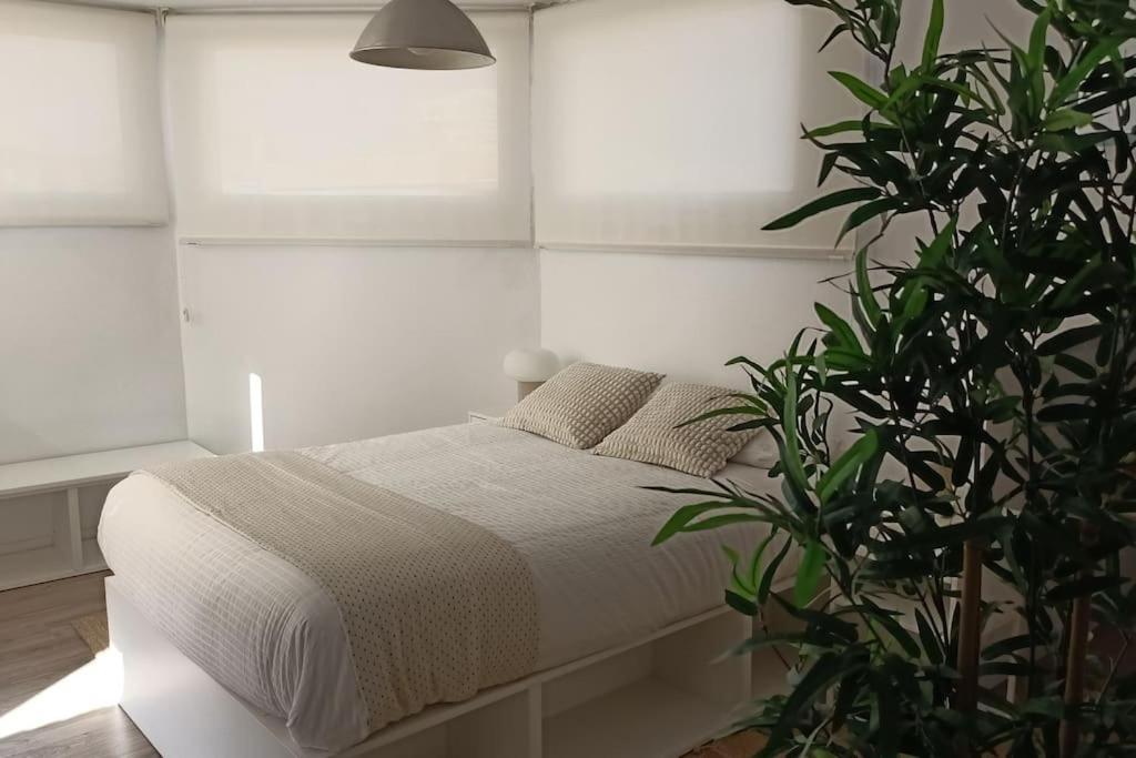 Salitre Malaga Center Apartment Ngoại thất bức ảnh