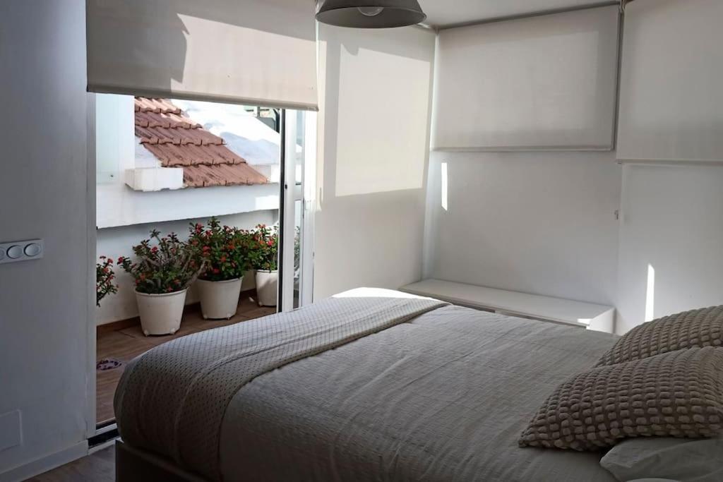 Salitre Malaga Center Apartment Ngoại thất bức ảnh